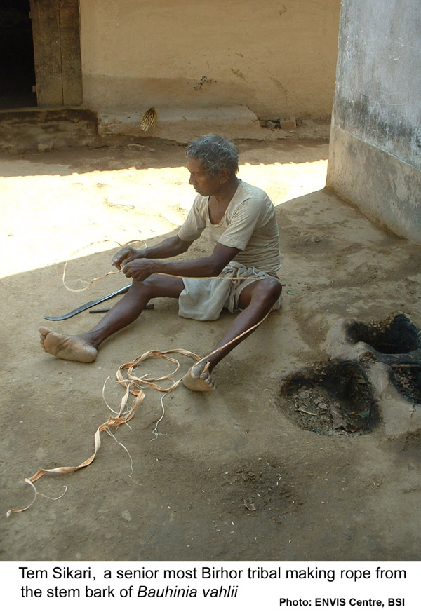 Rope making by Birhor